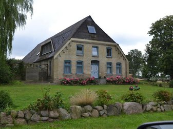 Haus mit ungekippten Rasenmäher im Garten