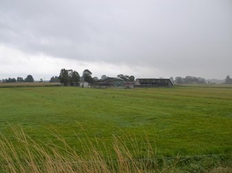 Wiese mit Betrieb im Hintergrund